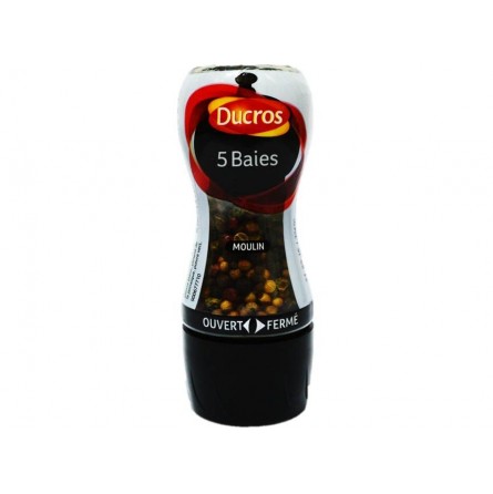 Ducros Moulin 5 baies 24g