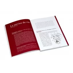 Pourquoi le vin est rouge ? L'Atelier du Vin - 4